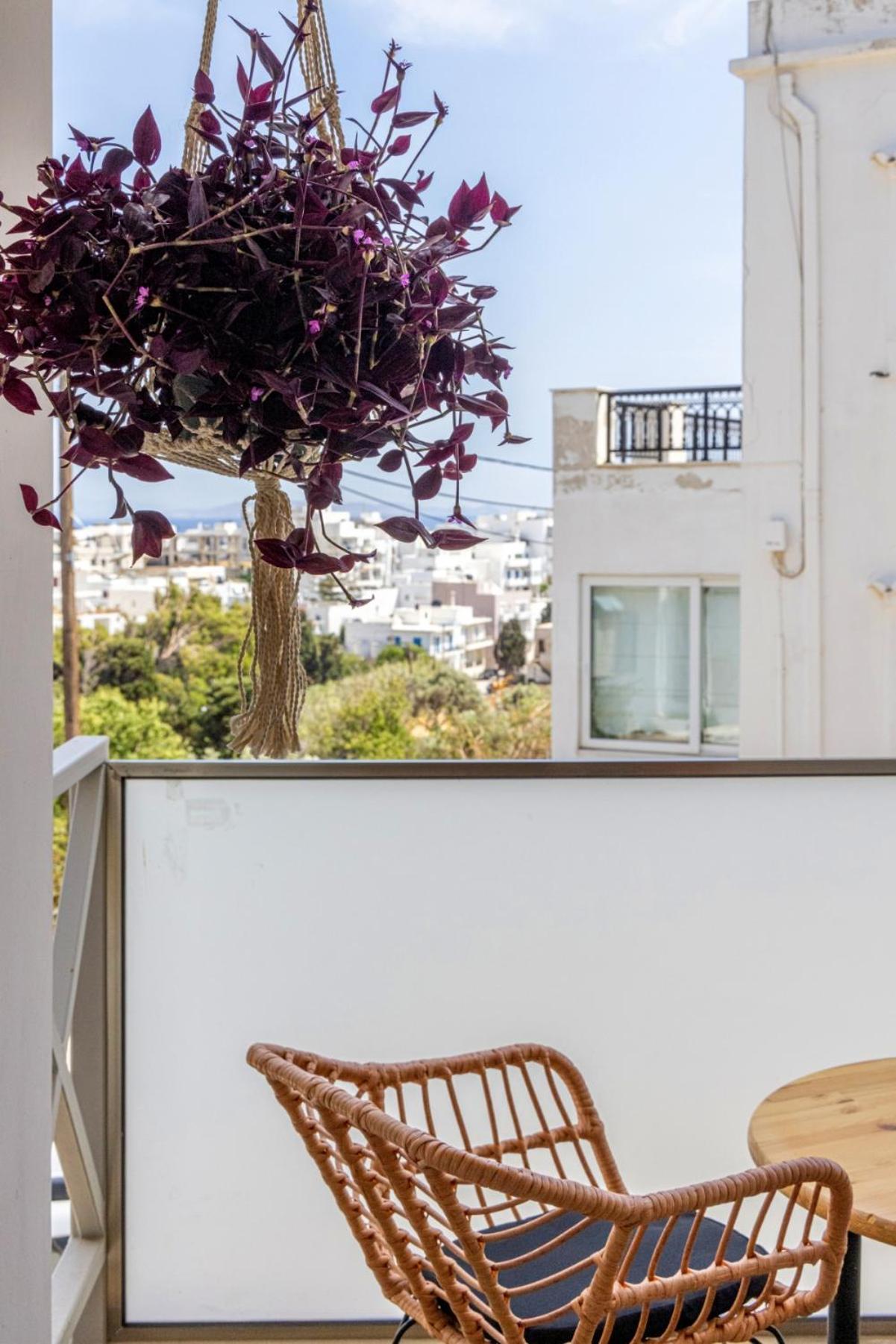 Raffar Luxury Houses Tínos 外观 照片